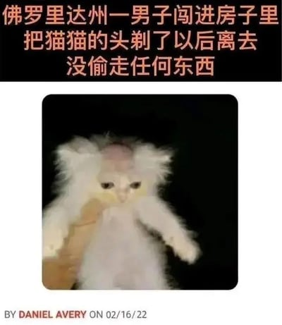 这张图分为两部分，上方是一条伪“新闻”的幽默文本，描述佛罗里达一男子闯入一户人家，没有偷任何东西，而是只给猫猫剃了头离开。下方配图是一只被剃了头顶毛、露出呆滞表情的猫猫。整个梗图以“离谱、莫名”的剧情吸引眼球，和猫猫的无助表情形成强烈反差，典型“佛州新闻”搞笑气质。带强烈的网络迷惑、反转幽默感。**包含佛州新闻体戏仿和“猫猫”动物表情包二重梗。**