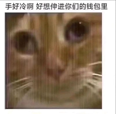这是一张图文结合的搞笑表情素材图，图片上方配有文字“手好冷啊 好想伸进你们的钱包里”，下方是经过竖条波纹效果处理的猫咪脸部特写，猫咪圆睁双眼，神态既可怜又带着一丝狡黠。图中文字用看似合理的“手冷需要取暖”的理由，幽默地玩梗，委婉表达了想要钱财的诉求，这种说法既搞笑又不会显得直白尴尬，适合在社交聊天中以玩笑的方式向他人表达要钱的想法。