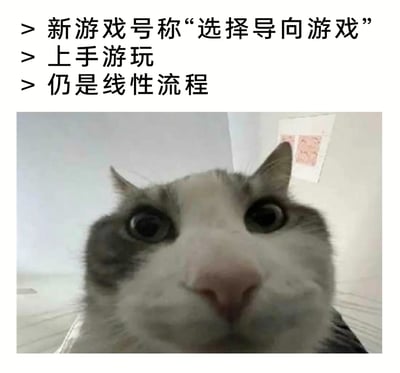 这是一张针对游戏宣传与实际体验不符的吐槽梗图，上方文字依次描述了玩家的经历：被新游戏“选择导向游戏”的宣传吸引，实际上手游玩后，却发现游戏仍是没有选择分支的线性流程；下方搭配的“震惊猫”特写图，以猫咪瞪大双眼、凑近镜头的错愕表情，精准传达出玩家发现被宣传“欺骗”时的震惊、无语与难以置信的情绪，能引发有类似经历的游戏玩家共鸣。