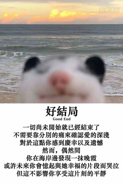 这是一张治愈系猫咪迷因图，画面上半部分是海滩晚霞背景前的模糊黑白猫咪脸部，朦胧的视觉效果营造出怅然又平静的氛围；下半部分以“好结局”为标题，搭配一段细腻的情感文字，讲述了一段未正式开启便落幕的关系，带着庆幸与遗憾的复杂情绪，却能在海岸晚霞中享受片刻平静的心境。整体用温柔的文字搭配朦胧的猫咪画面，传递出释怀又带着淡淡伤感的治愈感，精准戳中人们在情感中的细腻心境。