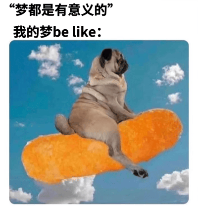 这张梗图通过幽默对比展现了理想与现实中梦境的差距。上方文字写着"梦都是有意义的"，下方紧接着"我的梦be like:"，然后是一张巴哥犬骑在巨大橙色零食上在蓝天白云间飞行的荒诞图片。这种强烈反差产生了喜剧效果，暗示现实中的梦境往往是随机且毫无意义的，与理论中"梦有意义"的观点形成有趣对比。