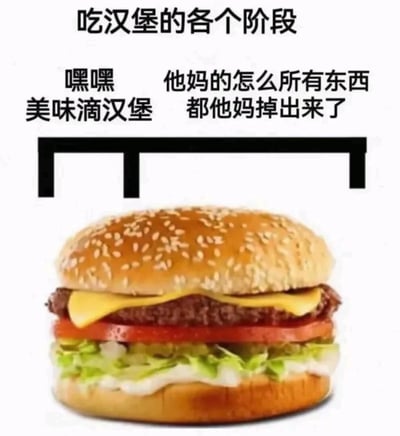 这是一张趣味搞笑的图文梗图，以“吃汉堡的各个阶段”为主题，通过两段配文还原了人们食用多层汉堡时的真实心路历程：初始阶段看到外观完整、食材丰富的芝士牛肉汉堡，满怀期待与开心，配文“嘿嘿 美味滴汉堡”；当尝试食用时，汉堡内的食材容易掉落，此时会陷入烦躁的情绪，配文“他妈的怎么所有东西都他妈掉出来了”，精准戳中了吃这类汉堡时的尴尬窘境，容易引发网友的共鸣。