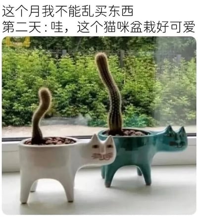 图片上方配有文字：'这个月我不能乱买东西 第二天：哇，这个猫咪盆栽好可爱'，下方是一张实拍图。图中展示了两个造型可爱的猫咪形状盆栽，一个为白色，一个为蓝绿色，花盆设计成猫咪的身体形态，里面种植的仙人掌向上生长，形状酷似猫咪翘起的尾巴。两个盆栽被放置在窗台上，窗外是茂密的绿色植物，整体画面清新治愈。内容通过前后对比，幽默地展现了人们在决心控制消费后，遇到可爱物品时难以抗拒的真实状态，充满生活气息和共鸣感。