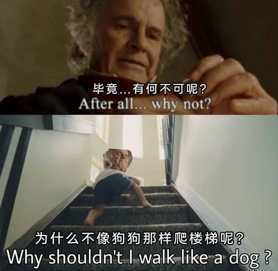 这是一张通过P图改编的搞笑拼接图，分为上下两个部分。上半部分截取了电影《本杰明·巴顿奇事》里老年本杰明的画面，配文“毕竟...有何不可呢？After all... why not?”，传递出一种打破规则、随性而为的态度；下半部分则将该老人的面部替换到一个四肢着地、像狗狗一样爬楼梯的儿童身上，配文“为什么不像狗狗那样爬楼梯呢？Why shouldn't I walk like a dog ?”，用荒诞至极的行为呼应上半部分的“有何不可”，制造出强烈的反差感，以无厘头的方式调侃“打破常规”的极端化表现，属于摆烂式的脑洞搞笑创作。