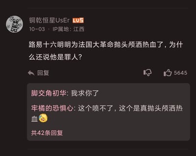 一张社交媒体截图，显示用户"铜乾恒星User"发布的历史问题："路易十六明明为法国大革命抛头颇洒热血了，为什么还说他是罪人？"。该问题获得5645个点赞，下方有两条热门回复："脚交角初华：我求你了"和"牢橘的恐惧心：这个喷不了，这个是真抛头颅洒热血😂"。

图片中存在明显的历史认知错误，路易十六作为法国国王，实际上是在法国大革命期间被推翻并送上断头台的，并非为革命牺牲。回复中的"抛头颅洒热血"带有讽刺意味，指出了原问题中的历史误解。