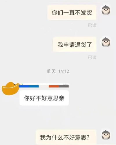 本图展示了一组在电商平台购物时买家与客服的聊天对话。买家因对方一直不发货表达不满并退货，客服回复惯用模板“你好不好意思亲”，结果买家直接硬刚反问“我为什么不好意思？”。整体对话幽默又带些讽刺，反映了消费者对千篇一律官方话术的不耐烦。对客服话术的吐槽成为网友共鸣点。此对话常见于淘宝群聊、吐槽区，是对客服套路用语的讽刺性梗。