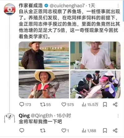 这张图是由一则调侃领袖视察鱼塘的段子和多张渔场图片组成的拼贴表情包。图中主要表现“金正恩视察某鱼场，随后该池鱼比其他池多出五倍”的神秘现象，借此搞笑地调侃其神秘影响力。底部网友评论“金将军帮我撸一下吧”，用自嘲口吻希望“沾好运”，引出轻松诙谐的氛围。

梗点分析：该段子利用了玄乎其玄、不可思议的“手气”、“气场”设定，包含明显的幽默、夸张成分，类似“玄学”、“幸运buff”网络流行语境。

无谐音梗，但有“神力加持”意味的暗示和玄学调侃。