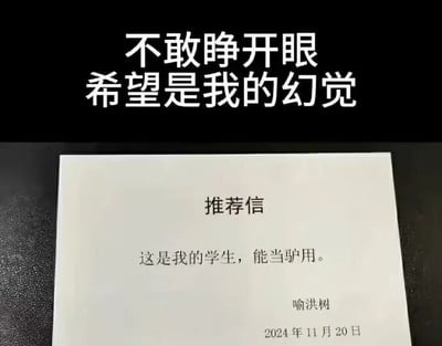 这是一张顶配底文的静态单图，属于网友创作的搞笑梗图。图片上半部分是黑色背景配白色文字“不敢睁开眼 希望是我的幻觉”，表达看到下方内容时的震惊、不敢置信的情绪；下半部分是一张模拟的纸质推荐信，标题为“推荐信”，正文内容是“这是我的学生，能当驴用。”，右下角有署名“喻洪树”和日期“2024年11月20日”。图中用夸张的“能当驴用”来调侃学生（或求职者）能吃苦耐劳、像驴一样任劳任怨，是一种放大式的幽默表达，结合上方的文字，强化了看到这份离谱推荐信时的错愕感，整体风格诙谐搞笑，用来调侃职场或求学中夸张的评价。