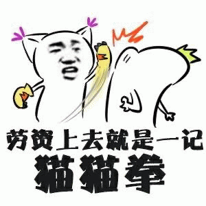 劳资上去就是一记猫猫拳