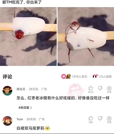 这是一张来自皮皮虾平台的社交媒体截图，由左右两张实拍对比图和下方评论区内容组成。左侧图中，一根白色冰棍的一端露出红色的蟑螂头部，其外观极易被误认为是冰棍的红枣配料；右侧图则展示了冰棍被吃掉大部分后，蟑螂的身体、腿部都完全露出来的样子。顶部配文“都TM吃完了，你出来了”，生动表达了当事人发现冰棍里藏着蟑螂时的崩溃与无奈。下方评论区中，用户“祷光王”的评论“怎么，红枣老冰棍有什么好炫耀的，好像谁没吃过一样”以调侃的方式将蟑螂头部比作红枣，精准玩梗，获得3213个赞并被标记为“神评”；另一用户“Ysan”则用“白裙双马尾萝莉”的玩梗评论形容露出身体的蟑螂，进一步增添了搞笑氛围。