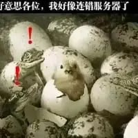 画面中，一堆鸟蛋里有一只刚破壳的小鸟探出身子，旁边的鸟蛋被标注了红色感叹号，上方配有文字「不好意思各位，我好像连错服务器了」。这是一个趣味梗图，将小鸟破壳出生类比为连接「服务器」，周围未破壳的蛋营造出类似传销组织的封闭感，用幽默的方式吐槽刚进入陌生环境就产生不适，仿佛误入不良组织的心情。