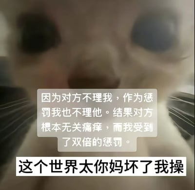 一张猫咪面部特写的表情包，猫咪眼神中带着委屈和失望。图片上叠加了两段文字，上面一段写着：'因为对方不理我，作为惩罚我也不理他。结果对方根本无关痛痒，而我受到了双倍的惩罚。'，下面一段用粗体写着：'这个世界太你妈坏了我操'。通过猫咪的表情和文字内容，幽默地表达了在人际关系中因对方冷落而采取报复措施，结果反而让自己更难受的无奈情绪。