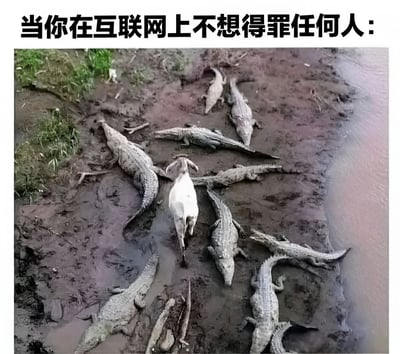 图片上方有文字"当你在互联网上不想得罪任何人:"，下方是一张照片，显示一只白色小动物（可能是山羊或绵羊）正小心翼翼地穿过一群静止的鳄鱼。鳄鱼们环绕成圈躺在泥泞的河岸上，形成一个包围圈，而小动物则从中间穿过。这张图通过视觉隐喻，幽默地表现了在互联网上发言时想要不得罪任何人的艰难处境，就像小心翼翼地穿过危险的鳄鱼群一样。