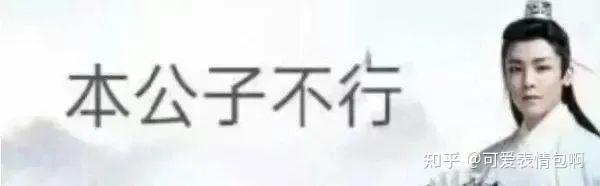 古风小生之'本公子不行'