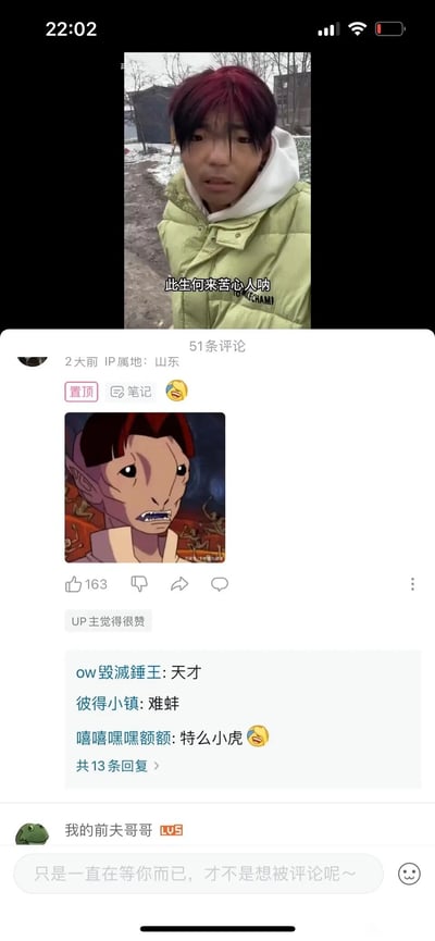 这是一张竖屏的手机屏幕截图，内容分为上下两部分：上半段是一段户外短视频的截图，画面中红头发、身穿浅绿色羽绒服的男子站在有残雪的泥土地上，面露愁容，配文“此生何来苦心人呐”，传递出苦闷的情绪；下半段是哔哩哔哩平台的评论区界面，IP属地为山东的用户在2天前发布了一张国产动画《中华小子》里的角色截图并置顶，该角色的发型、脸型与上方视频里的男子高度相似，引发网友调侃，评论区回复有“天才”“难蚌”“特么小虎”等内容，UP主也对该评论点了赞，整体是网友利用撞脸梗进行搞笑互动的内容。