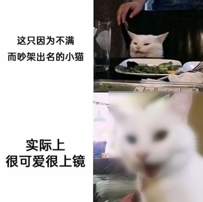 这张图文混排的对比梗图采用左右分栏布局，左侧为上下两段说明文字，右侧对应匹配两张同一只白色猫咪的照片。左上文字标注“这只因为不满而吵架出名的小猫”，对应右上的经典表情包照片：白猫坐在餐桌前，对着面前的菜品眯眼撇嘴，神情不爽仿佛正在生气吵架；左下文字标注“实际上很可爱很上镜”，对应右下同一只白猫的照片，猫咪对着镜头张开嘴，神态软萌可爱，和上一张的生气表情形成强烈反差，突出猫咪的不同状态。