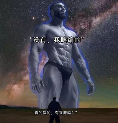 这是一张经过P图改编的网络梗图，背景是星空笼罩下的旷野场景。画面中，一个身形极其渺小的普通人站在地面上，仰头看向身前体型庞大、肌肉线条夸张的巨人，巨人仅穿着黑色内裤，神态淡然地俯视下方。图中配有对话文字，渺小的人询问“真的假的，有来源吗？”，巨人则坦然回应“没有，我瞎编的”，以此调侃那些传播无依据信息，在被追问来源时直接承认是编造的场景，充满了讽刺和搞笑的效果，常用于吐槽虚假信息传播、随口编造内容的行为。
