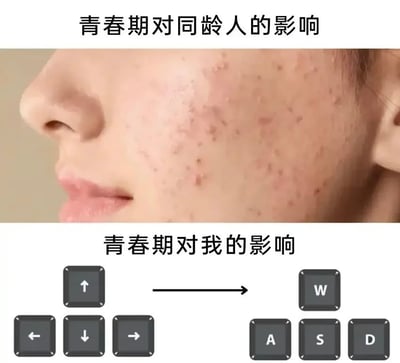 这是一张上下对比式网络迷因图。上半部分标题为“青春期对同龄人的影响”，配图是一张真人侧脸局部特写，脸颊分布着较多青春痘和痘印，表现多数人在青春期常见的生理变化。下半部分标题为“青春期对我的影响”，画面左侧是键盘方向键布局，中间用黑色向右箭头指向右侧的 W、A、S、D 按键。笑点在于自嘲式反差：同龄人在青春期长痘，而“我”的青春期印记却是从使用方向键转变为使用电脑游戏中常见的 WASD 移动键，暗示自己大量时间都在玩电脑游戏，青春经验被玩家生活方式塑造。图中没有明显的双关和谐音，主要依靠现实青春期符号与游戏玩家符号之间的错位制造幽默。