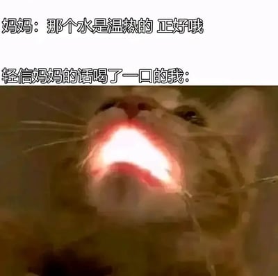 这是一张搞笑的网络梗图，采用文字加图片的顶配底文形式呈现。图上方分为两行文字，第一行是妈妈的话语：“那个水是温热的 正好哦”，第二行是描述“我”的状态：“轻信妈妈的话喝了一口的我：”；图下方是一张经过P图改编的猫咪图片，猫咪的嘴巴被处理成发光的效果，夸张地表现出喝下很烫的水之后的痛苦反应，用这种拟人化的夸张画面，来还原现实生活中很多人都有过的经历——相信家人说水不烫，结果喝了一口发现非常烫的搞笑又真实的场景，容易引发观众的共鸣。