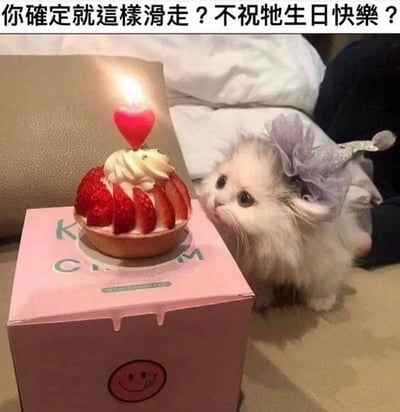 这张图片展示了一只可爱的小猫，戴着生日小帽，专注地看着桌面上的草莓生日蛋糕。蛋糕上插着蜡烛和一个爱心装饰，气氛非常可爱温馨。图片顶部配有台词："你確定就這樣滑走？不祝牠生日快樂？"，带有调侃和呼唤祝福的意味，非常适合朋友间的生日玩笑氛围。整体画面萌趣十足，充满软萌和治愈感。

双关/暗示/谐音梗：台词"滑走"可能暗指社交软件中滑动划走而错过表达祝福的机会，也带有一种半撒娇半调侃的语气，潜台词是：看到如此可爱的场面，不留下个“生日快乐”评论真的可以吗？