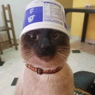 一只暹罗猫头上戴着一个蓝白相间的酸奶桶，桶身印有营养成分表和花纹图案。猫咪睁着圆溜溜的大眼睛，表情看起来既惊讶又困惑，胡须清晰可见。背景是室内环境，能看到木质椅子和黄色墙壁。