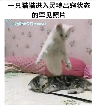 暂无描述