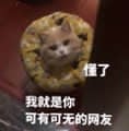 小猫表情包：我就是你可有可无的网友