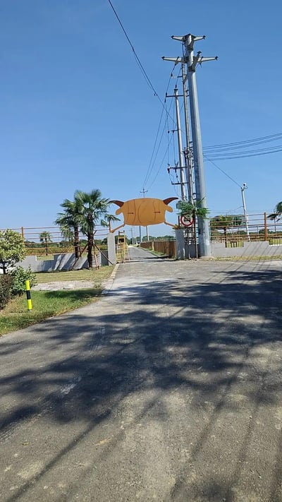 一张户外场景照片，展示了一个创意牛形大门入口。大门上方是橙色的牛形结构，牛角突出，横跨在道路入口处。道路为水泥铺设，通向后方的围栏区域。左侧有几棵棕榈树和绿色灌木丛，右侧有一根高大的电线杆，上面架设有多条电线。背景是开阔的天空，呈现出晴朗的蓝色，整体氛围宁静自然。