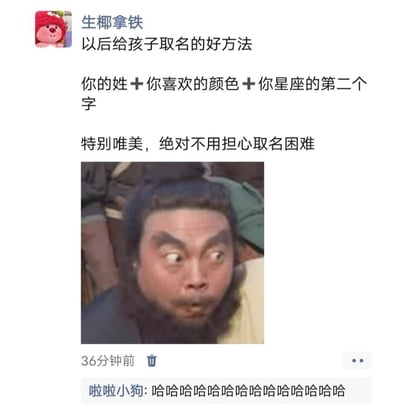 这张梗图展示了一种“取名字”的搞笑方法：用“你的姓＋你喜欢的颜色＋你星座的第二个字”组合成新名字，自称“特别唯美”。下方配图有一张人物照片，意在幽默地暗示最终得出的名字搞笑甚至荒谬，引起观众发笑。整个梗图通过出乎意料的组合方式调侃取名难题。

图中的评论“哈哈哈哈哈哈哈哈哈哈哈哈哈哈哈哈哈哈哈哈”，进一步烘托了场面的搞笑氛围。

双关/暗示：本图通过不现实的组合方式，暗讽部分“唯美取名法”的荒诞和形式主义。