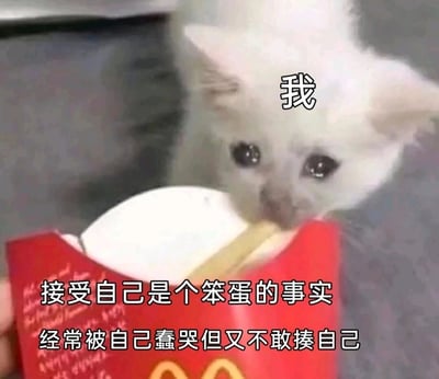 一只白色小猫正从红色麦当劳薯条盒中叼出薯条，眼神无辜。图片通过文字“我”将小猫拟人化，配合底部文字“接受自己是个笨蛋的事实 经常被自己蠢哭但又不敢揍自己”，形成自嘲式幽默，用可爱的猫咪形象表达人们对自己偶尔犯傻的无奈又好笑的接纳心态。