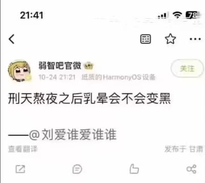 这是一张社交媒体截图，显示了一个名为"弱智吧官微"的账号发布的帖子，内容是"刑天熬夜之后乳晕会不会变黑"这样一个荒谬搞笑的问题。截图显示了完整的手机界面，包括时间21:41、电池电量78%以及网络信号等状态信息。帖子发布于10月24日21:21，地点显示为甘肃。