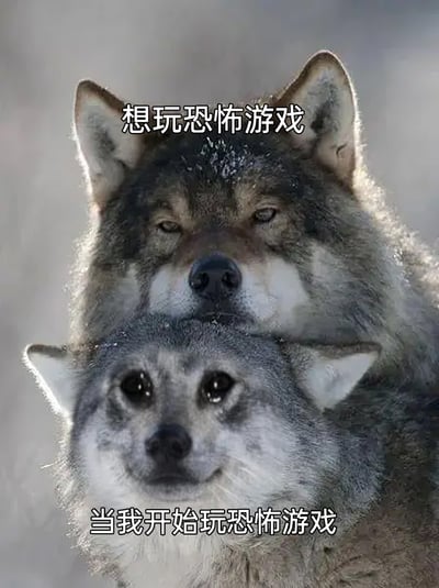 这是一张通过图像合成创作的搞笑梗图，将两只狼的图像拼接在一起，上方的狼眼神半眯、神态慵懒淡定，搭配文字“想玩恐怖游戏”，对应玩家想要尝试恐怖游戏时，带着期待又觉得自己可以的淡定心态；下方的狼眼睛圆睁、眼神惊恐，还带着些许委屈感，搭配文字“当我开始玩恐怖游戏”，精准还原了玩家实际进入恐怖游戏后，被游戏内容吓到的真实状态。整张图用生动的动物神态反差，调侃了很多玩家想玩恐怖游戏却又胆小的矛盾心理，十分贴合大众的游戏体验，容易引发共鸣。