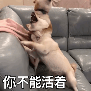 狗狗站立嘶吼动态图：你不能活着