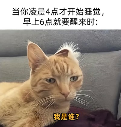 这是一张经过P图改编的文字加注类静态表情包，主体是一只趴在灰色沙发上的橘猫，其头顶的耳朵被修改成类似人类紧皱的抬头纹样式，猫咪眼神涣散、眼皮半耷拉着，神态疲惫又迷茫，完美呈现出精神恍惚、灵魂出窍的状态。图上方配文“当你凌晨4点才开始睡觉，早上6点就要醒来时：”，下方配文“我是谁？”，用猫咪的状态精准类比人类仅睡2小时后，睡眠严重不足时的崩溃、迷茫与精神放空，极易引发熬夜、缺觉人群的共鸣。