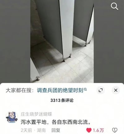 这是一张社交媒体内容截图，上半部分为公共厕所的实拍图，可见公厕的隔间挡板底部和地面之间的缝隙非常大，几乎能完整看到隔间内部的下半身区域，隐私性极差。截图下半部分显示平台的搜索热词为“调查兵团的绝望时刻”，总共有3313条相关评论，热门评论为用户“庄生晓梦迷蝴蝶”发布的古诗句“泻水置平地，各自东西南北流”，用来调侃该公厕的不合理设计，这条评论收获了1.6万点赞。