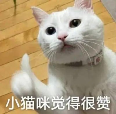 一只戴着项圈的白色猫咪，正抬起右爪，眼神好奇地向上看，仿佛在点赞。图片底部配有文字“小猫咪觉得很赞”，整体营造出可爱、积极的氛围，常用于表达赞同或喜爱之情。