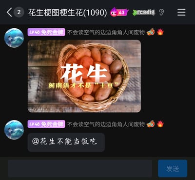 这是一张QQ群（群名“花生梗图梗生花(1090)”）的聊天界面截图，群成员“不会读空气的边边角角人间废物”（拥有LV48等级与“免死金牌”标识）在群内发送了一张反差梗图：图中实际是一篮土豆，却用醒目的白色大字标注“花生”，下方搭配黄色文字“闽南语才不是‘土豆’”，以此纠正关于闽南语中花生称呼的错误认知；随后该成员还@了群内成员“花生不能当饭吃”，在这个以花生相关梗图为主题的社群里完成方言科普与玩梗互动的行为。