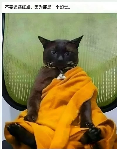 一只黑色猫咪端坐在绿色网格椅上，全身被橙色毛巾包裹，脖子上戴着带有铃铛的项链，表情平静而略带睿智。图片顶部配有文字“不要追逐红点，因为那是一个幻觉。”，以猫咪的视角幽默传达出对追逐虚幻事物的哲理性劝诫。