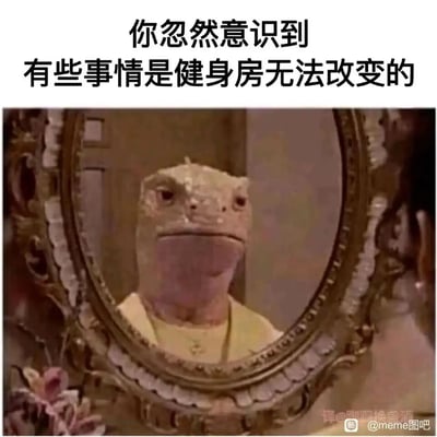 这是一张带有自嘲意味的搞笑meme图，顶部配有文字“你忽然意识到有些事情是健身房无法改变的”，画面呈现一个人照镜子的场景，但镜子中映出的并非本人，而是一个表情呆滞、神态无奈的蜥蜴人。这张图用荒诞的视觉效果调侃：即便通过健身改变外在身材，也无法改变一些本质上的“既定事实”，精准戳中了部分人在付出努力后仍有无法改变的遗憾的心情，充满戏谑感。