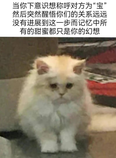 图片上半部分为文字内容，描述了一种情感场景：当你下意识想称呼对方为“宝”，却突然醒悟双方关系并未进展到这一步，记忆中的甜蜜都只是自己的幻想。下半部分是一只白色长毛猫，毛发蓬松，眼神平静中带着一丝落寞，正坐在沙发上，整体画面通过文字与猫咪表情的结合，生动展现了情感中的失落与尴尬瞬间。