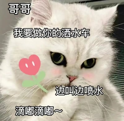 一张可爱的白猫表情包，猫咪有着雪白的毛发和绿色的大眼睛，脸颊带有粉色腮红特效。图片左侧有一个粉色爱心图案，猫的周围配有多段文字："哥哥"、"我要做你的洒水车"、"边叫边喷水"和"滴嘟滴嘟~"。整体风格俏皮可爱，通过拟人化的表达和拟声词营造出幽默效果。