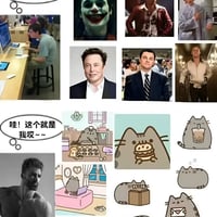  Pusheen猫