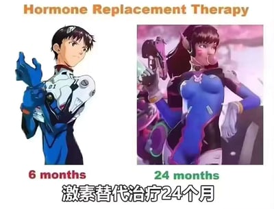 这是一张左右分栏的对比类梗图，顶部标注英文“Hormone Replacement Therapy（激素替代治疗）”，左侧是《新世纪福音战士》的主角碇真嗣，下方标注“6 months（6个月）”，呈现出他身着EVA初号机驾驶服、神情严肃整理手套的形象；右侧是《守望先锋》中的角色D.Va，下方标注“24 months（24个月）”，展示她身着战斗服、吹着泡泡糖的随性姿态，底部配有中文“激素替代治疗24个月”。该图借用激素替代治疗（常与跨性别群体相关）的概念，用两个气质、外形有明显差异的二次元角色制造反差笑点，调侃治疗后的形象转变，是在二次元社群和相关网络讨论中流传的搞笑创作。