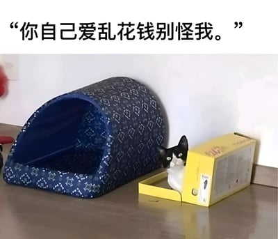 图片中一只黑白相间的猫咪正舒适地坐在一个黄色纸箱里，而旁边一个蓝色带花纹的猫窝却空着。图片顶部配有文字“你自己爱乱花钱别怪我。”，通过猫咪选择纸箱而非猫窝的场景，幽默调侃了主人购买宠物用品后宠物不领情的无奈，暗指猫咪“嫌弃”主人乱花钱买了它不喜欢的猫窝。