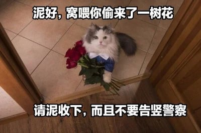 图片中是一只灰白相间的长毛猫咪，正坐在门口的瓷砖地面上，前爪抱着一束红玫瑰。图片上方配有文字“泥好，窝喂你偷来了一树花”，下方文字为“请泥收下，而且不要告竖警察”。文字使用了“泥”（你）、“窝喂”（我为）、“告竖”（告诉）等同音或近音的可爱化错别字，营造出猫咪用稚嫩语气说话的萌感。猫咪表情平静，眼神看向前方，仿佛在认真地将偷来的花送给对方，同时又怕被警察发现，形成一种反差萌的搞笑效果。