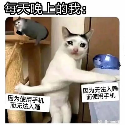 这是一张搞笑合成梗图，顶部配文“每天晚上的我：”，图中核心是一只被P成人类站立姿态的白脸猫咪，它双眼泛红、眼神委屈疲惫，看起来十分憔悴，两只前爪分别搭在猫爬架和旁边的物体上。猫咪左右两侧是两个被合成到场景里的奇怪动物形象，对应着两个形成闭环的行为配文：左侧配文为“因为使用手机而无法入睡”，右侧配文为“因为无法入睡而使用手机”，生动地展现了当代人晚上陷入“玩手机→失眠→因失眠继续玩手机”的恶性循环，精准还原了很多人熬夜时疲惫却又无法自控的状态，非常贴合日常真实生活，容易引发大众共鸣。