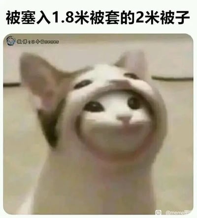这是一张经过P图改编的搞笑静态梗图，画面主体是一只被创意合成的猫咪，它的头部被处理成像是被套在紧绷的“外壳”里的效果，脸部受到挤压，呈现出滑稽又略带无奈的神情。图的上方配有文字“被塞入1.8米被套的2米被子”，用猫咪的视觉形象生动具象地比喻了尺寸不符的被子被硬塞进被套时的拥挤、紧绷状态，精准还原了生活中遇到这种小尴尬时既无奈又好笑的场景，容易引发网友的共鸣，属于生活类搞笑meme内容。