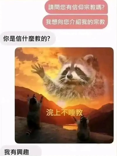 这是一张结合聊天记录与P图的搞笑网络梗图，对话流程为：一名传教者先询问对方是否有宗教信仰并提出要介绍自己的宗教，对方好奇询问其信仰的宗教，传教者随即展示了一张改编自宗教朝拜场景的图片——画面中黄昏背景下，两只浣熊正虔诚朝拜着空中浮现的巨型浣熊，图中配文“浣上不睡教”，利用“浣”与“晚”的谐音，调侃“晚上不睡”的熬夜行为，最后对方表示对这个“宗教”有兴趣。整体内容用荒诞幽默的方式，共鸣当代人熬夜的生活状态，充满网络趣味。