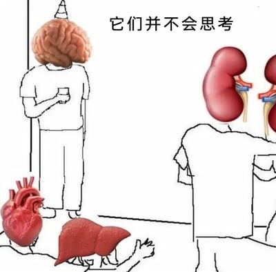 这是一张经过P图改编的搞笑拟人化梗图，画面将人体器官进行拟人化处理：戴着尖顶罚站帽的大脑手持杯子靠墙站立，心脏和肝脏趴在地上，肾脏则站在画面右侧；图片顶部配有文字'它们并不会思考'，借用职场中罚站的场景，调侃只有大脑具备思考能力，其他器官不具备思考功能，通过拟人化的反差形式制造搞笑效果，生动又有趣地展现了人体器官的功能差异。