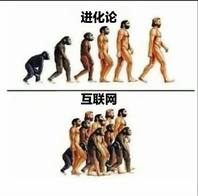 这是一张上下对比的静态梗图，上半部分是经典的人类进化示意图，从左到右依次呈现了从弯腰行进的猿类，逐步进化为半直立行走的早期人类，再到完全直立行走的现代人类的完整正向进化过程，上方配有文字“进化论”，清晰展示了生物演化从原始到高级的方向；下半部分则使用相同的人类进化阶段素材，将所有不同进化程度的个体混杂在一起，整体呈现出混乱倒退的行进状态，上方配有文字“互联网”，以夸张反讽的方式，调侃在互联网时代，海量的碎片化信息、无意义的社交内容等因素，让人们出现了专注力下降、思维浅层化等类似“退化”的状态，通过强烈的视觉对比，传递出对互联网时代人们生活状态的戏谑式反思。